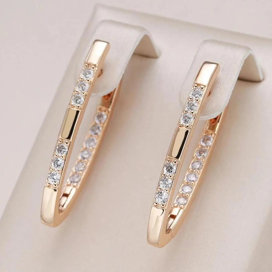 Élégantes boucles d'oreilles ornées de zirconium